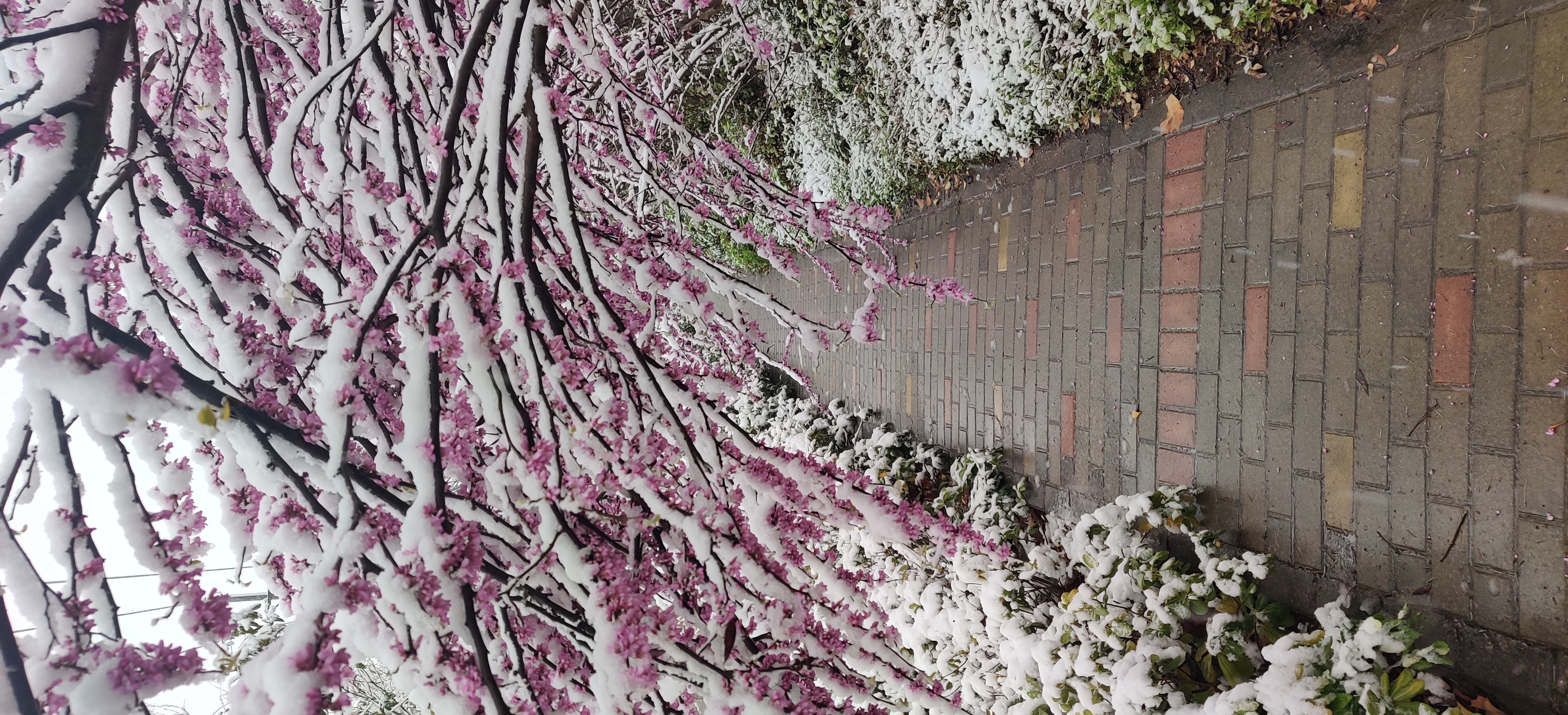 200482bac792c1099ed9757deb3094d